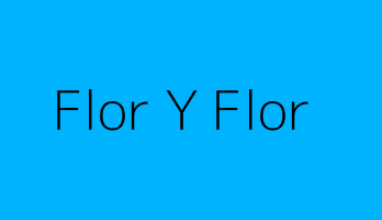 Flor Y Flor